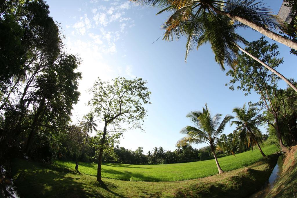 Miracle Resorts & Villas Polonnaruwa Ngoại thất bức ảnh