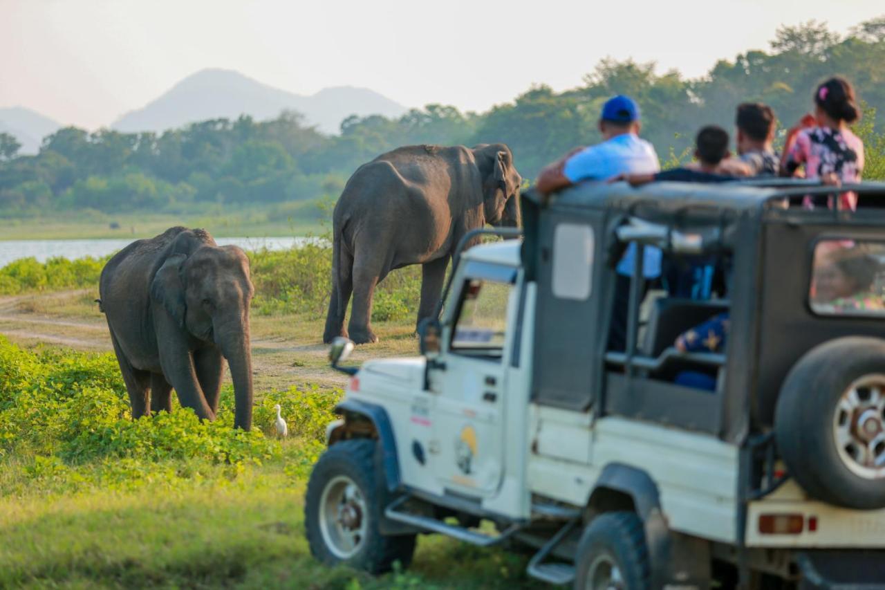 Miracle Resorts & Villas Polonnaruwa Ngoại thất bức ảnh